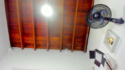  ARI  online show from 12.16.25