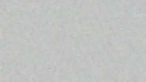 Arianna Collins online show from 03.31.26