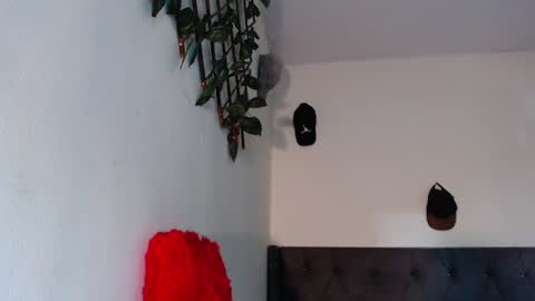 Snapshot of arielbronwxxx chatting on 01.29.25 chris online show from 01.29.25