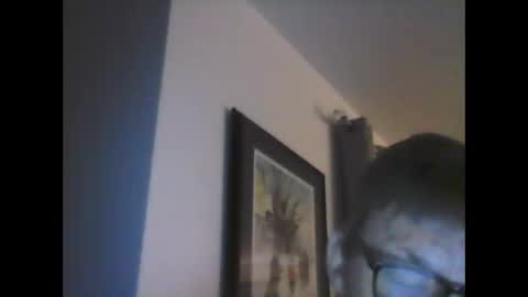 ariens online show from 01.14.25