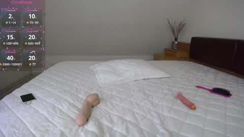 Snapshot of arinamir chatting on 12.26.24 arinamir online show from 12.26.24