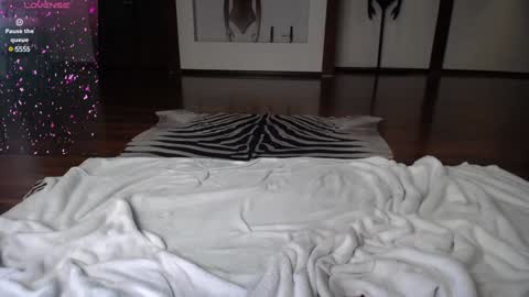 Snapshot of arinamir chatting on 12.28.24 arinamir online show from 12.28.24