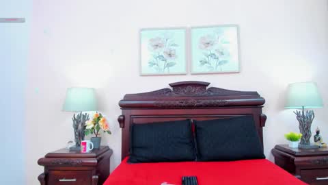 Ari  online show from 11.11.25