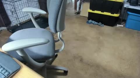 armalite16 online show from 01.16.26