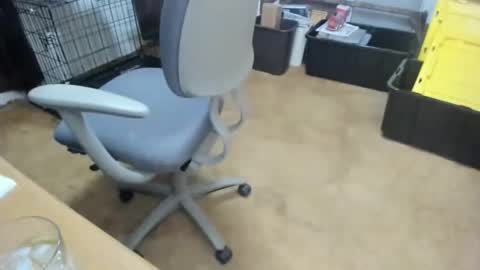 armalite16 online show from 01.18.26