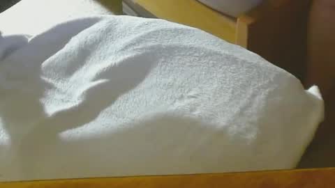 Snapshot of arnie12 chatting on 12.22.24 Arnie online show from 12.22.24