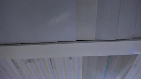 FENIX online show from 11.20.25