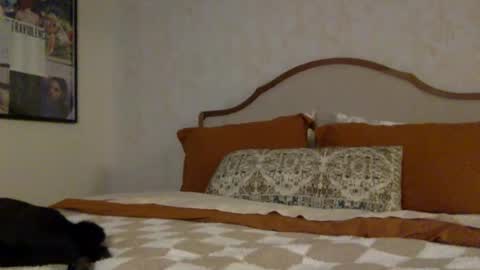 ashley online show from 03.31.26