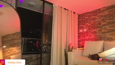 Ashley Fox online show from 03.07.26