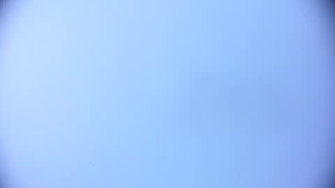 ashlybenison online show from 02.02.25