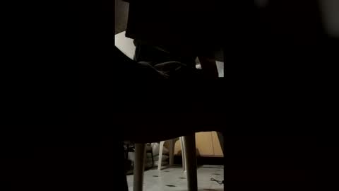 ashutoshkhanna online show from 02.15.26