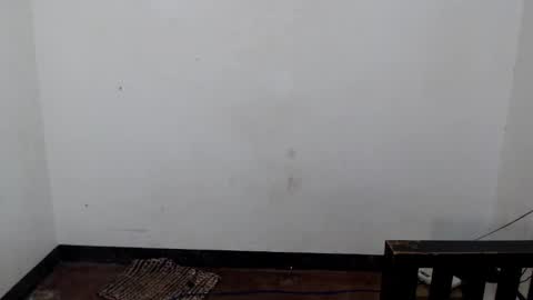 Shane online show from 12.05.25