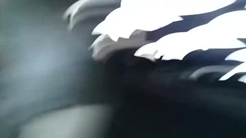 Snapshot of asiancreamy4u chatting on 12.06.24 asiancreamy4u online show from 12.06.24