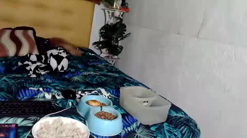 asianladyboy888 online show from 11.24.25