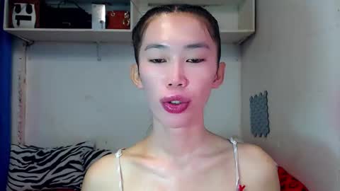 J A D E online show from 11.11.25