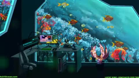 Asiri   pronounced Ah-siri Please no nicknames   3 online show from 04.16.26