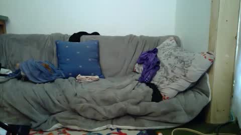 Snapshot of aspiringturtlegirl chatting on 02.16.26 aspiringturtlegirl online show from 02.16.26