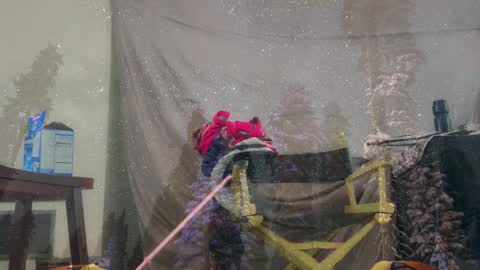 aspiringturtlegirl online show from 03.04.26