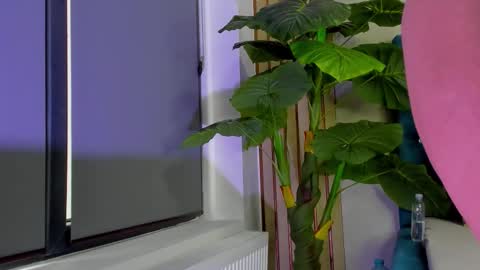 AsshleySing online show from 02.23.26