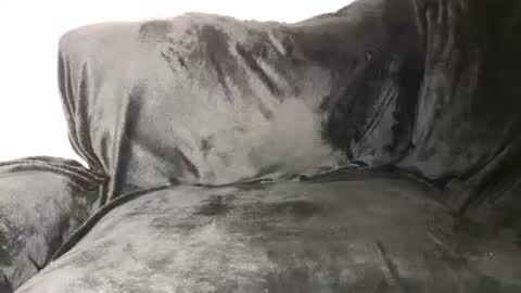 Snapshot of assiology11 chatting on 03.12.25 Assiology online show from 03.12.25