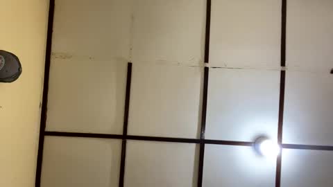 Robin online show from 04.06.26