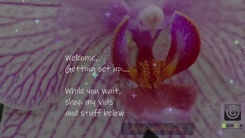 Atrena online show from 04.17.26