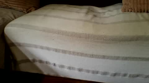 The Atypical Fit Cat online show from 04.27.26