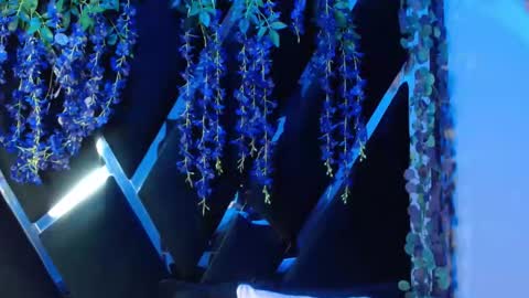 aurora online show from 09.18.25