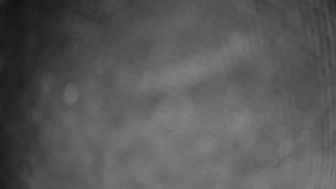 ausguy12excite online show from 02.12.26