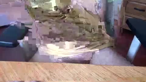 Rich online show from 03.05.25