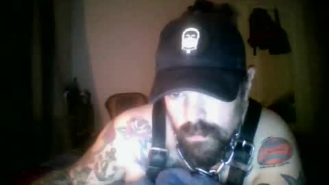 aussiesubf4gg0tinscotland online show from 03.07.26