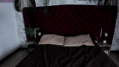 Austin  online show from 03.12.26