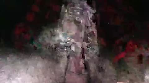 Adept online show from 12.04.25