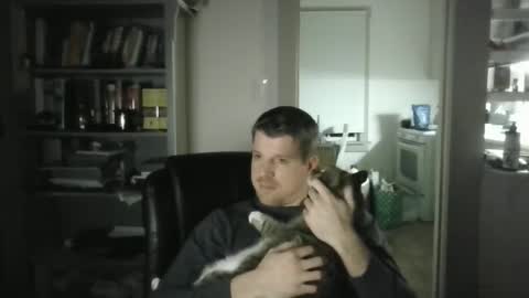 Avenger online show from 02.02.25