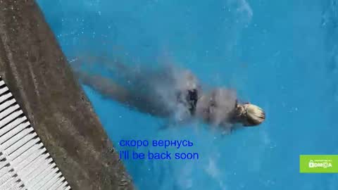 avr0ria online show from 01.15.26