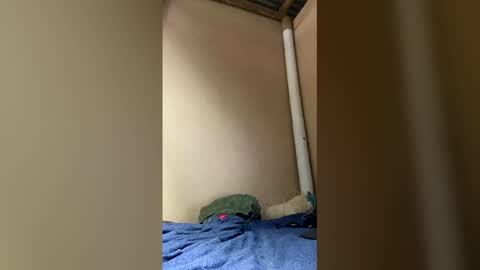 Axell online show from 04.05.26