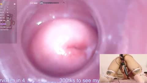   online show from 12.19.24