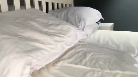 b1gd0ng1111 online show from 09.17.25