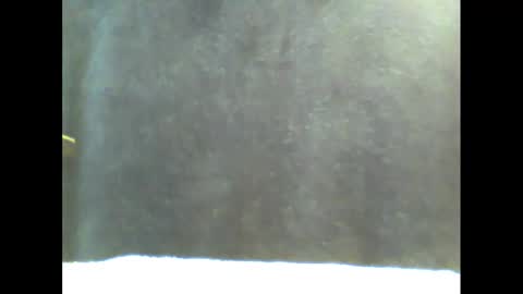 Snapshot of b1gg9inch chatting on 01.20.25 b1gg9inch online show from 01.20.25