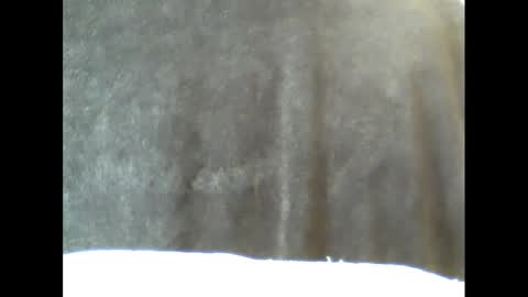 Snapshot of b1gg9inch chatting on 02.15.25 b1gg9inch online show from 02.15.25