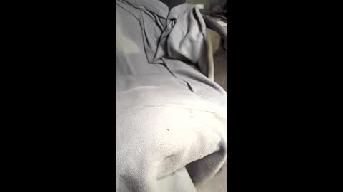 b4db0y online show from 03.07.26