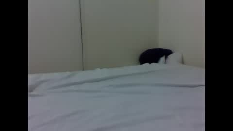 Snapshot of baby_lucky35865 chatting on 04.26.26 needoh online show from 04.26.26