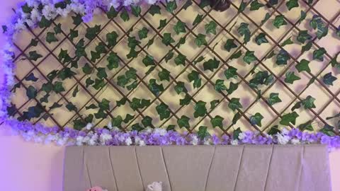  Dani  online show from 12.19.24