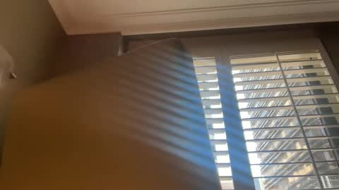 bcin online show from 09.21.25