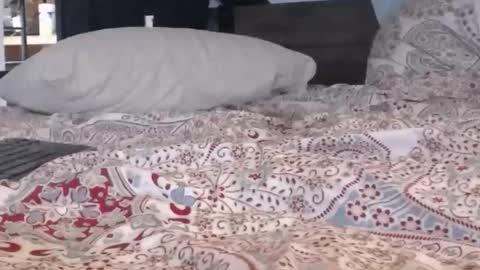 baker305 online show from 09.29.25