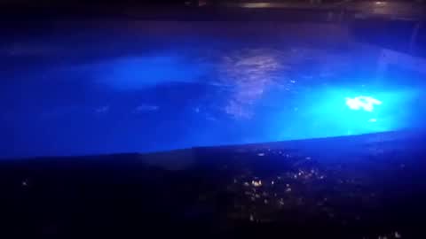 Snapshot of bakerbeachismygig chatting on 12.09.24 bakerbeachismygig online show from 12.09.24