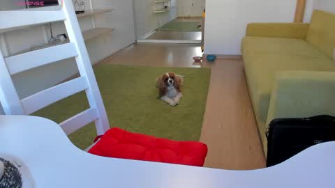 Kira online show from 03.20.26