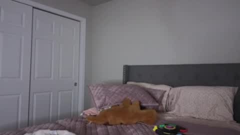 bambifarrina online show from 10.02.25