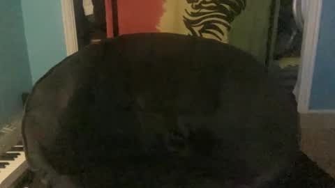 bananaboy420720 online show from 09.16.25