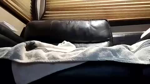 baobabtree8 online show from 10.04.25